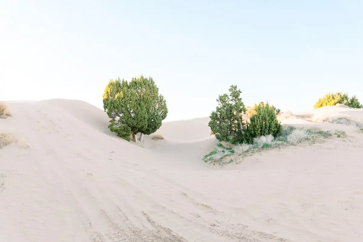 Utah desert, landscape nature photography