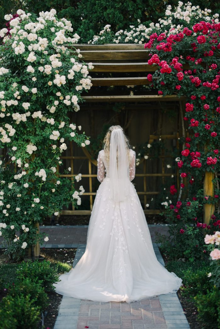 Sun flare roses wedding photos white