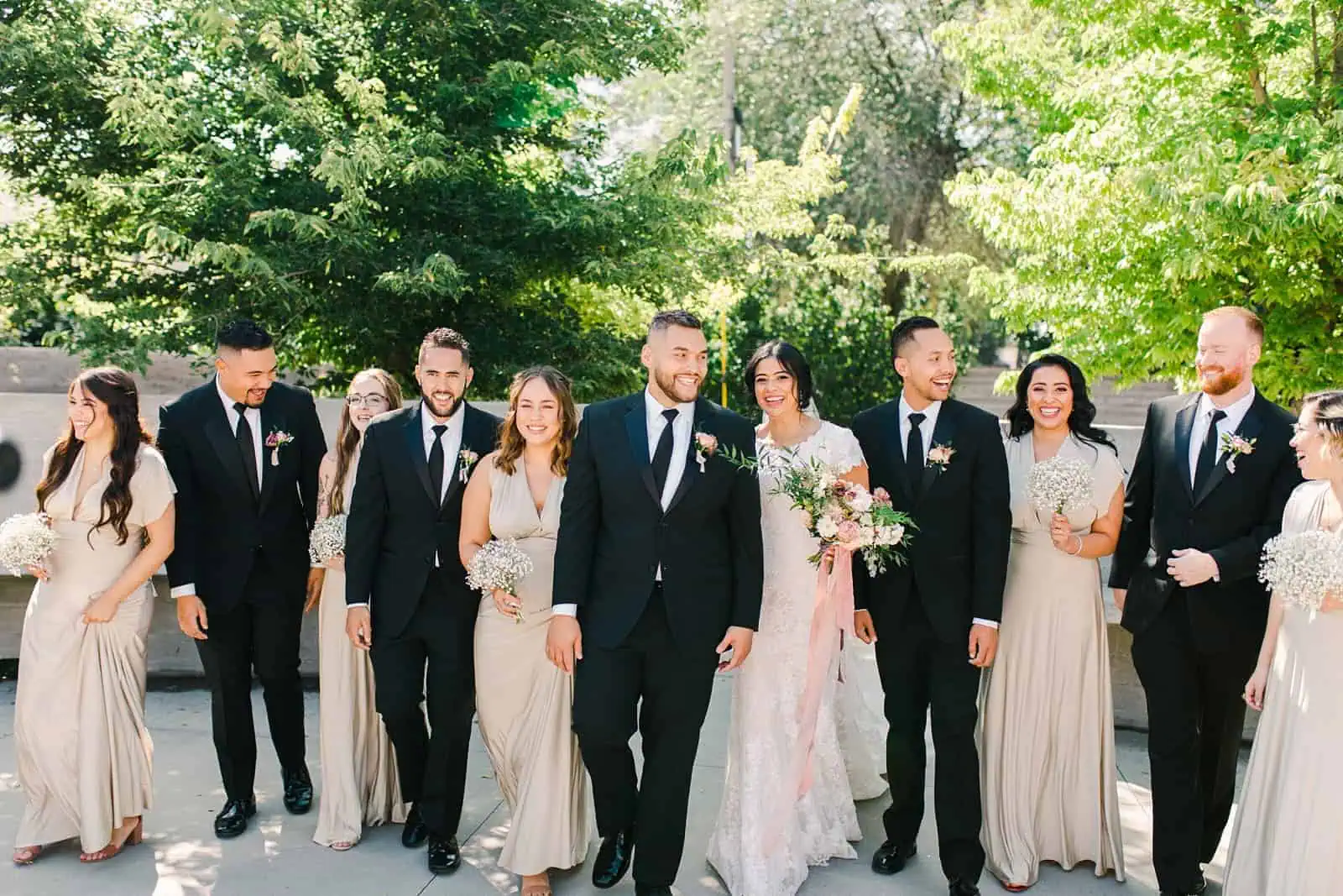 Bride and groom with bridal party in Utah wedding