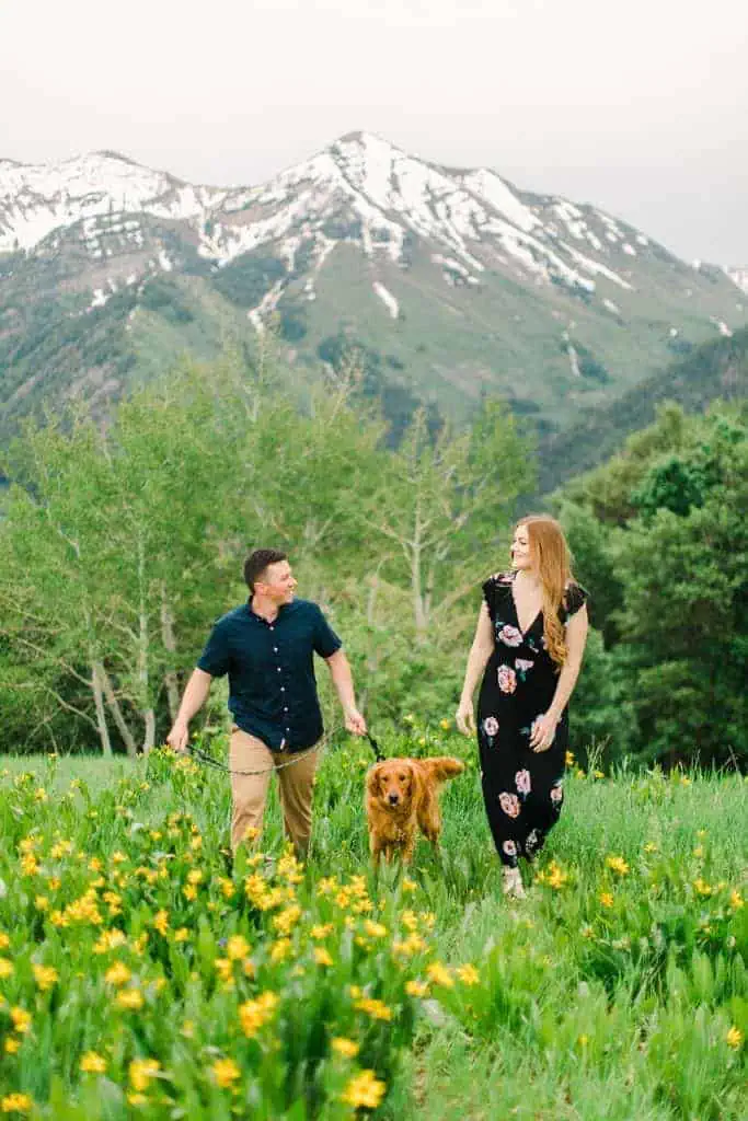 Provo Canyon Wildflowers Photography, Provo Canyon Wildflowers Engagement Photos, Utah Wildflowers Engagement Photos, Utah Engagement Photography