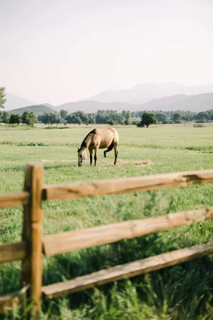 River Bottoms Ranch, River Bottoms Ranch Wedding, River Bottoms Ranch Wedding Cost